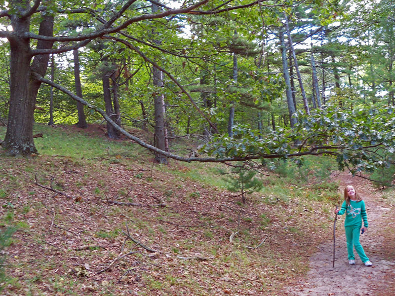 trails ludington state park